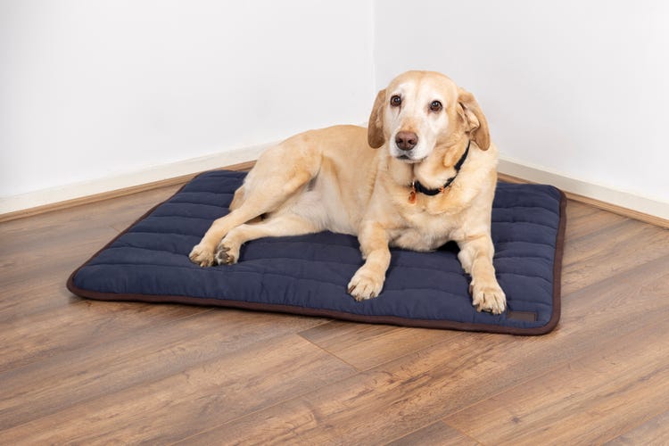 Benji &amp; Flo Comfort Dog Bed image 4